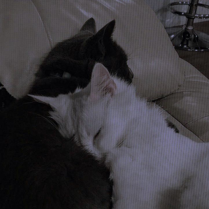 ﹅ 何も変 わらな いよ