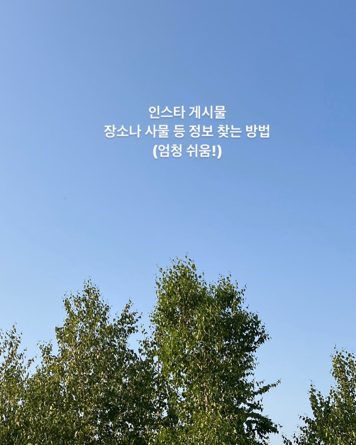 규탱스랑 
다녀온 곳들
피드 올려야 하는데

가정 보육 한다는 핑계로 
앨범에서만 소장중☺️

인스타에 
이쁘다싶은 아이템,

우리 애도 저기 데려가고싶은데
어디지..? 
물어보고 싶은데 용기가 나지 않는다
일일이 물어보기 번거롭다
싶은 분들이 
쉽게 알수 있는 방법✨

알고 계시는 분들도
계실테지만
모르시는 분들
도움되시라며 정보 투척합니데이?🤍

1. 장소 or 사물 등 캡쳐(스크린샷)
2. 네이버 검색창에 
'검색어 또는 URL 입력' 
글씨 보이게 커서 놓기
3. 중앙 오른쪽에 
초록색 카메라 모양 누르기
( = 스마트렌즈 )
4. 스마트렌즈 화면에서
왼쪽에 앨범 누르기(네모칸 산 모양)
5. 앨범에서 캡쳐한 사진 누르기
6. 자동인식한 유사이미지 찾아서 
캡쳐한 사진과 같은지 확인

저는 거의 대부분 정확하게
인식이 되어서 찾아졌는데

같은 곳이 아니어도
비슷한 곳들도 나와서 
이런 곳도 있구나 싶고
재미있더라고요?🥹

규현맘 말대로 했는데
안나온다
장난허냐 이럼 안되요??🫠

#나우럭🥲
#정보공유