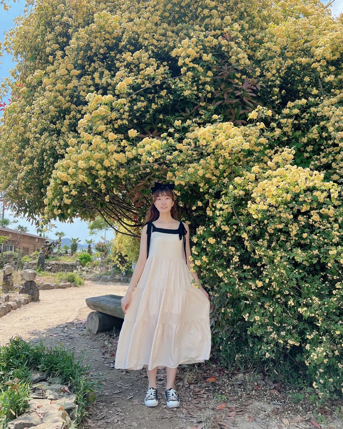 꽃은 항상 좋아ㅏㅏ
🌱🏵🌻🌼🌿