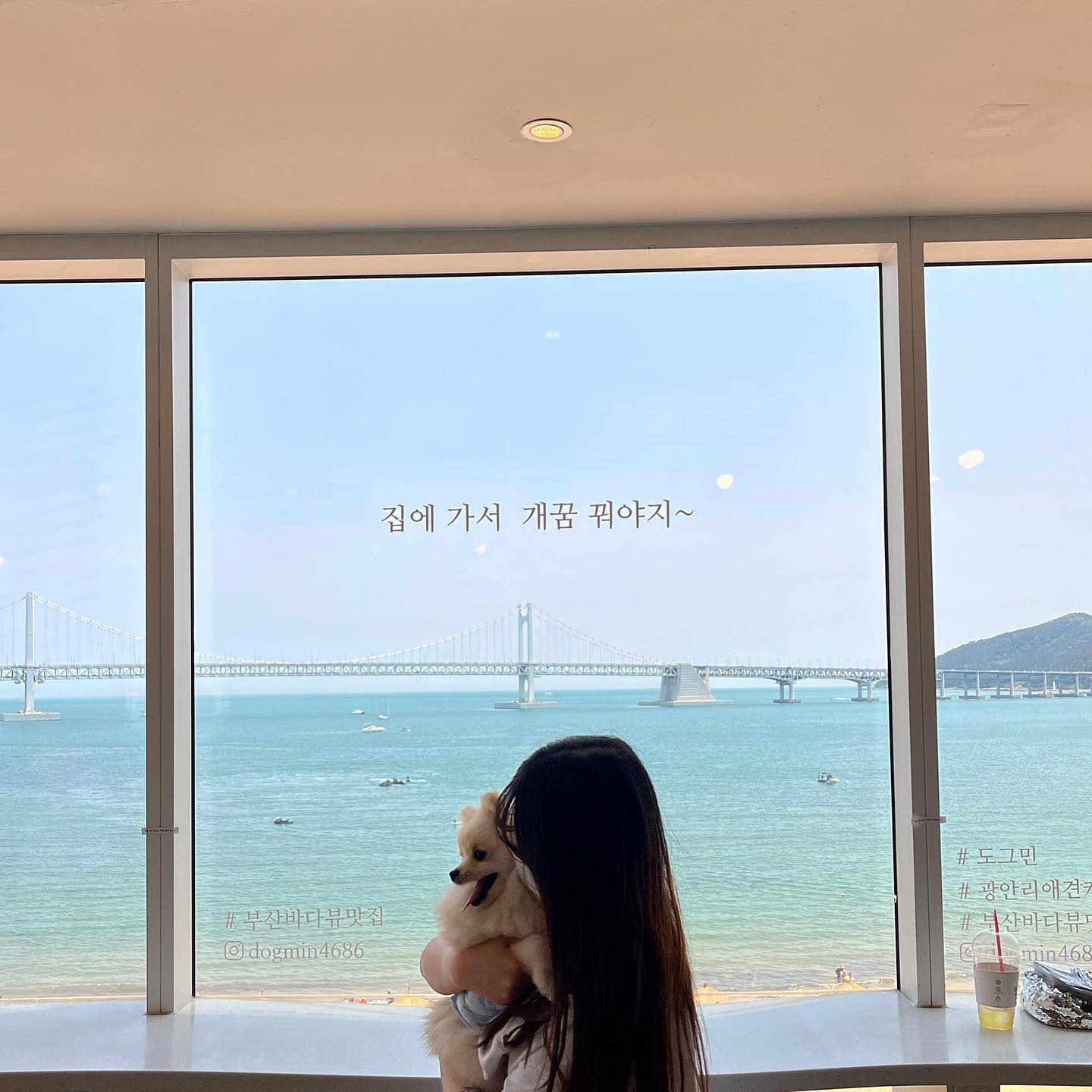 부산 1박2일로 놀러가기! 
이번엔 처음으로 wndms._.07 동생이랑 우리 남해랑 놀러갔는데 수영 엄청 못할줄알았는데 너무 잘해서 놀랐잖오..🥹 이젠 여름이니까 엄청 자주 수영장 데려가야겠다🐶 (덩생이랑 도 첨갔는데ㅋㅋㅋㅋ먹방만 찍고 와부렸으...✌🏻) 담에 또가야지❤️