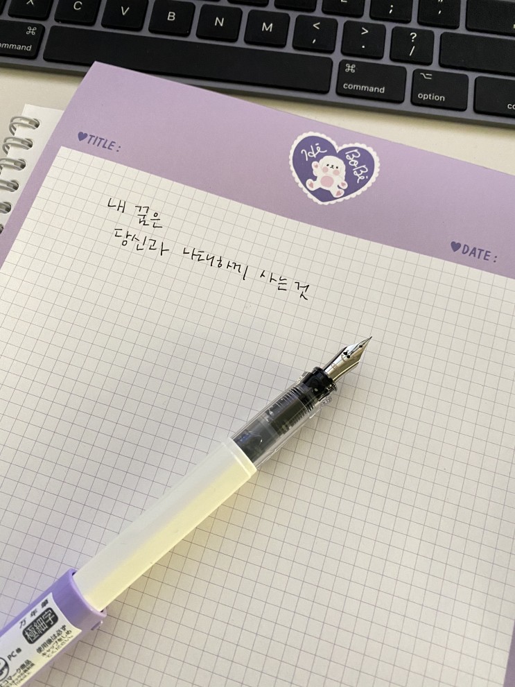 내돈내산 만년필, 가볍고 편하게 사용하기 좋은 입문용 :-) - EF촉