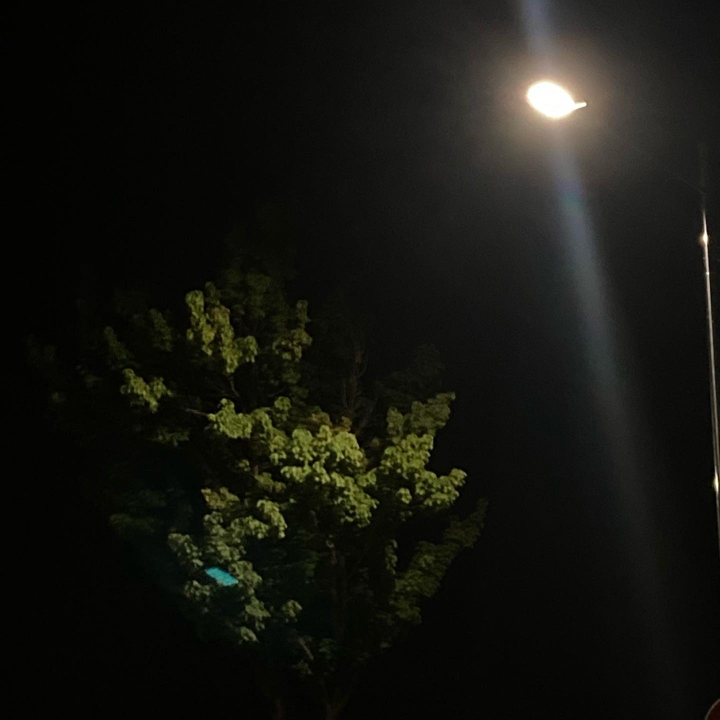 여름.