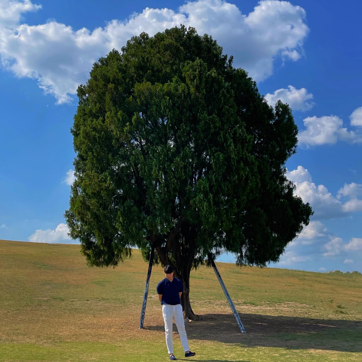 .
🌳장마가 싫어요🌳
.
#나홀로나무 #잠실 #맑음 #날씨
#장마 #날씨가좋으면찾아가겠어요 #🌳
