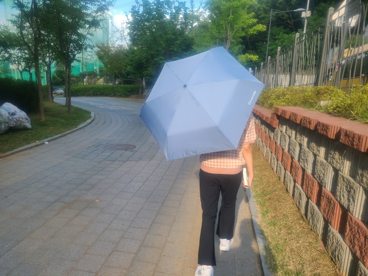 곧 장마래요. 장마철 필수품 크로커다일 3단완전자동우산