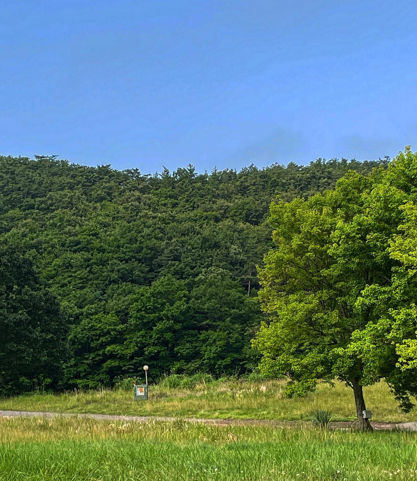 너무 많은 것들을 받고있다🌲