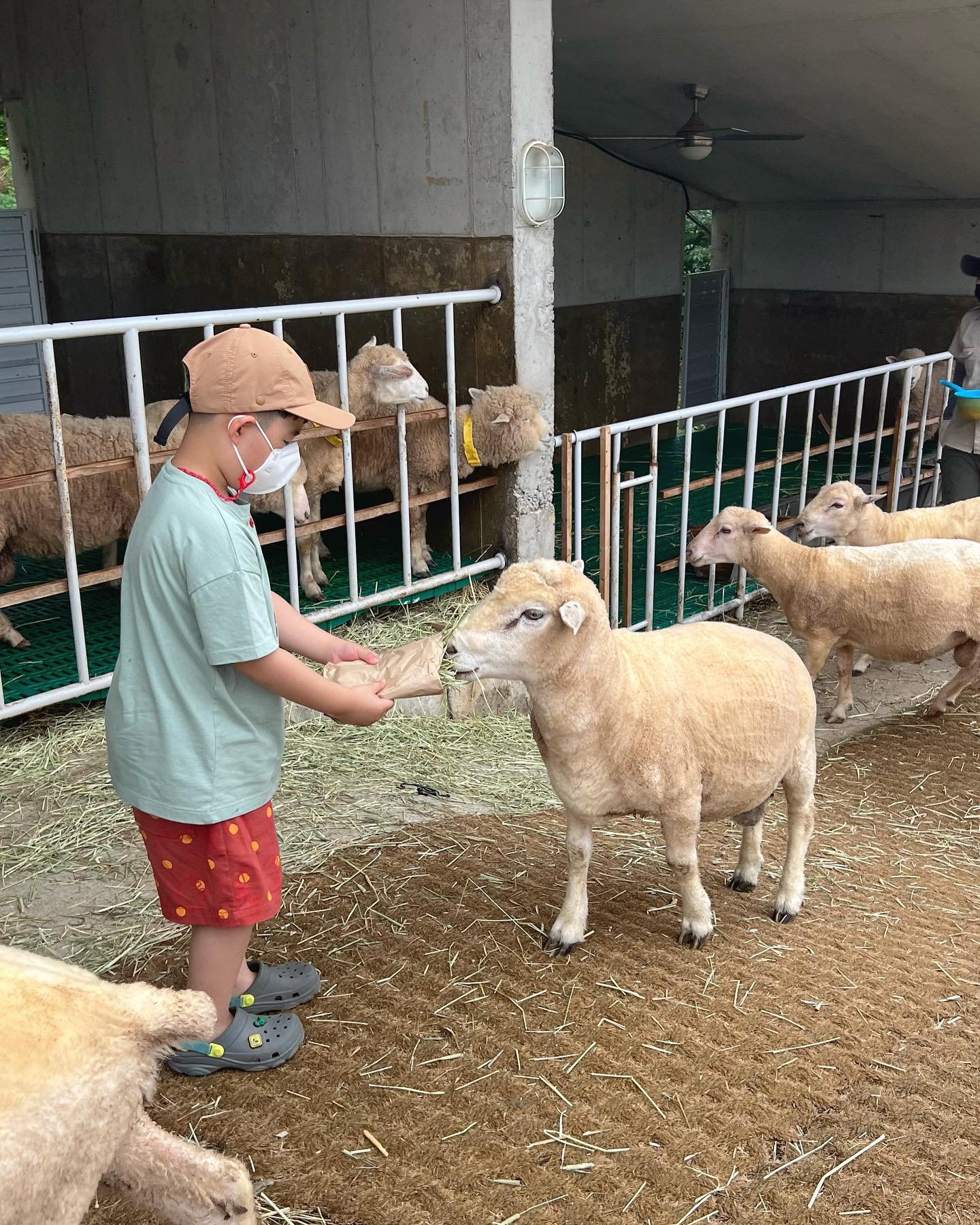.
역시 좋아할줄 알았어🐑