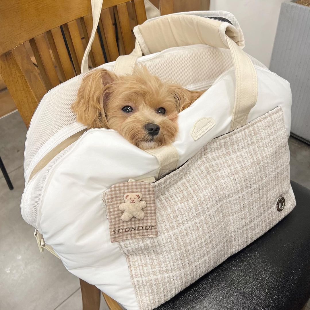 순덕앤소미 on Instagram: “#내돈내산 #후기 이름처럼 너무 포근한 #바비스영 #아토백 💗 요 가방만 있으면 어디서든 편하게 쉴수있고 예쁜데 가볍고 편하기까지 해서 너무 죠타구🥺 순덕이