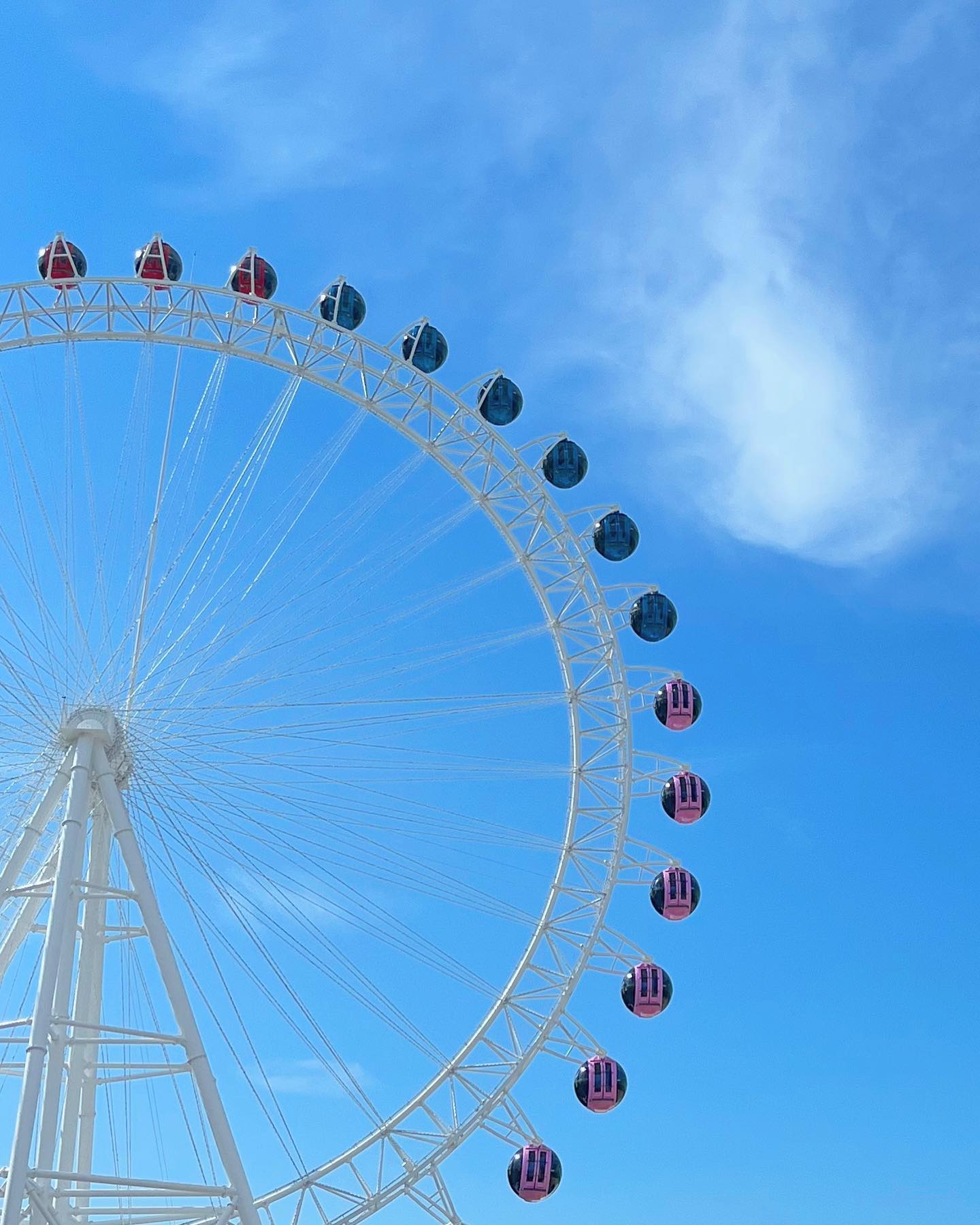 🎡