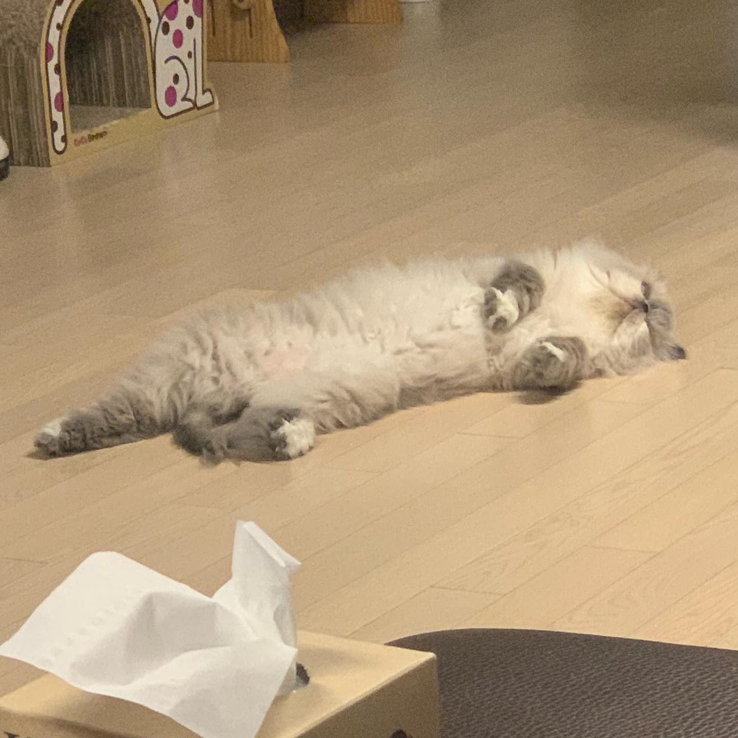 밤비 너두 덥구나아