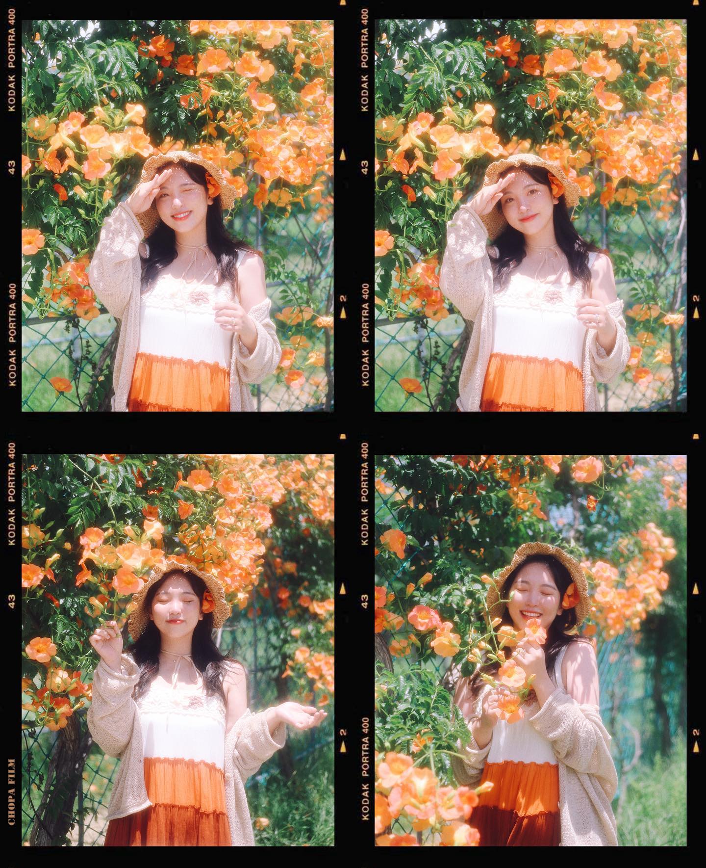 📷#쵸파필름
라부리이수님과 함께한 능소화투어🧡
여름꽃 닉값답게 촬영내내 어찌나 뜨겁던지
둘다 사이좋게 익어가면서 촬영했다는🌝
.
.
흐린 일기예보 보면서 비사진을 찍어볼까 하는데
정작 비는 거의안오고 심지어 맑기까지 하는 부산🌝
이래서 다이나믹 부산인가보다
.
.
7~8월 스냅촬영 예약받고있습니다:)
꽃스냅 일정은 프로필 참고하셔서 문의주시면 편할거에요❤️
촬영문의는 DM이나 카톡으로 부탁드립니다🐋🐋🐋
#능소화