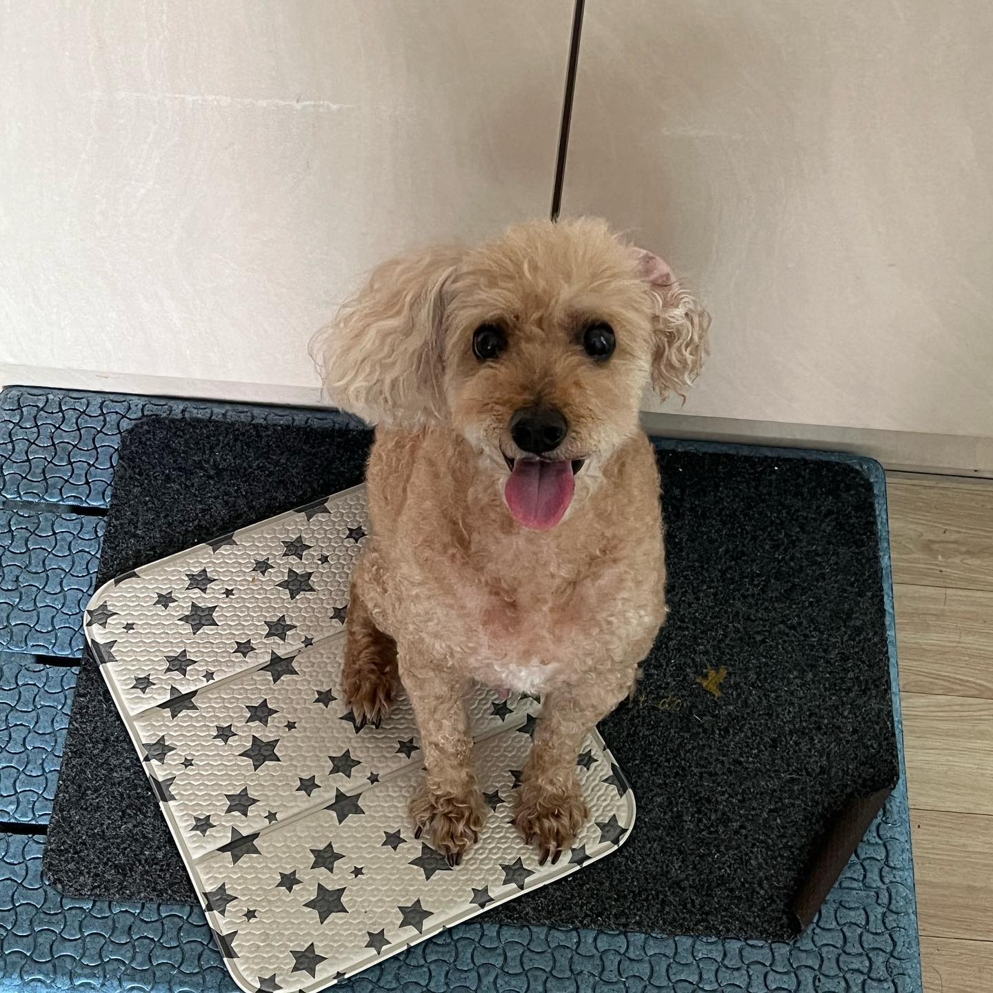 콩이 누나가 공강이라 여유 있을 때 다시 돌아왔습니다!! 보고싶었어요🫶🏻🤎🤎