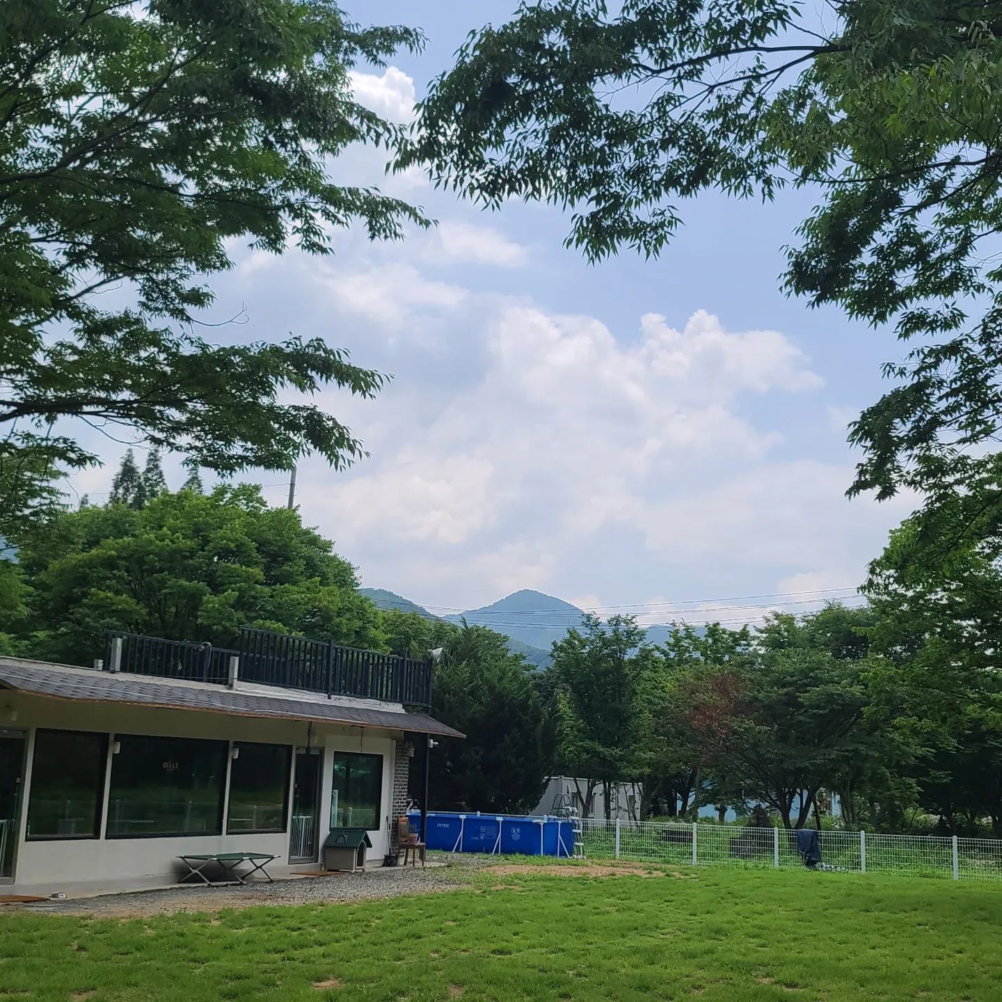 청도애견카페 대구근교 댕댕이와 함께하기 좋은 벨애견카페 다녀왔어요...
여름이라 더워서 산책 조금만 시켜도 헥헥
나도 헥헥..ㅋ 
날이 너무더워서 산책을 자주 못가고 아파트 근처 한바퀴돌고 금방 다시 올라오고 하는데..
아무래도 부족한 산책때문에 애견카페 벨카페로 나들이 다녀왔어요.
오픈한지 이틀째라 정말 조용하고 넓은데
7월은 오픈행사로 50%할인^^
우리버터가 그렇게 신나게 뛰어노는줄 첨 알았네요..
늘 목줄만 하고 산책하고 하다보니...
아이를 풀어서 놀수 있는 곳이 필요한것 같아요..
여기에서 진짜 넘넘 신나하는게 보여서 다음주에 또 갈까 생각중..ㅎㅎ
다른 댕댕이 친구들도 만나서 잘놀고 특히 여기 뷰가 넘 이뻐서 밖에서도 암에서도 사진찍기도 좋더라구요..
요즘 애견카페 사람들 너무 분비기도 하고
여긴 7월에 50%할인혜택까지 있어서 조금 거리가 있어도 가볼만 하더라구요 
특히 다른 왠만한 일반 카페보다 뷰가 넘넘 이뻐서 후회하지 않을듯해요..
#벨애견카페 
#청도애견카페 
#밀양애견카페 
#대구애견카페 
#부산애견카페 
#울산애견카페 
#창원애견카페 
#애견카페추천
#대구근교애견카페
#신상애견카페