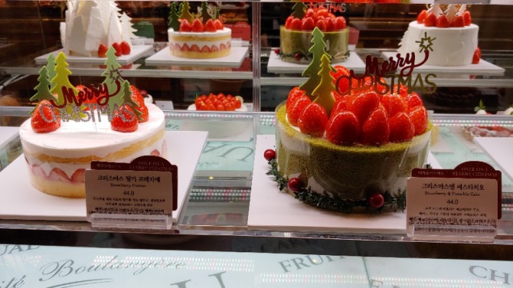 [파리크라상 광화문점] 매일 새벽 6시 오픈. 크리스마스 케익 예약 판매 🎄🎅🎂