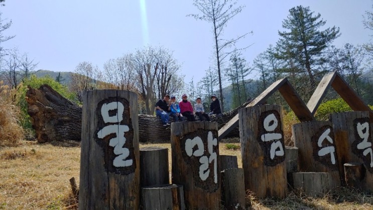[물맑음수목원] 유아들 놀기 좋게 만들어 놓은 곳(경기 남양주)