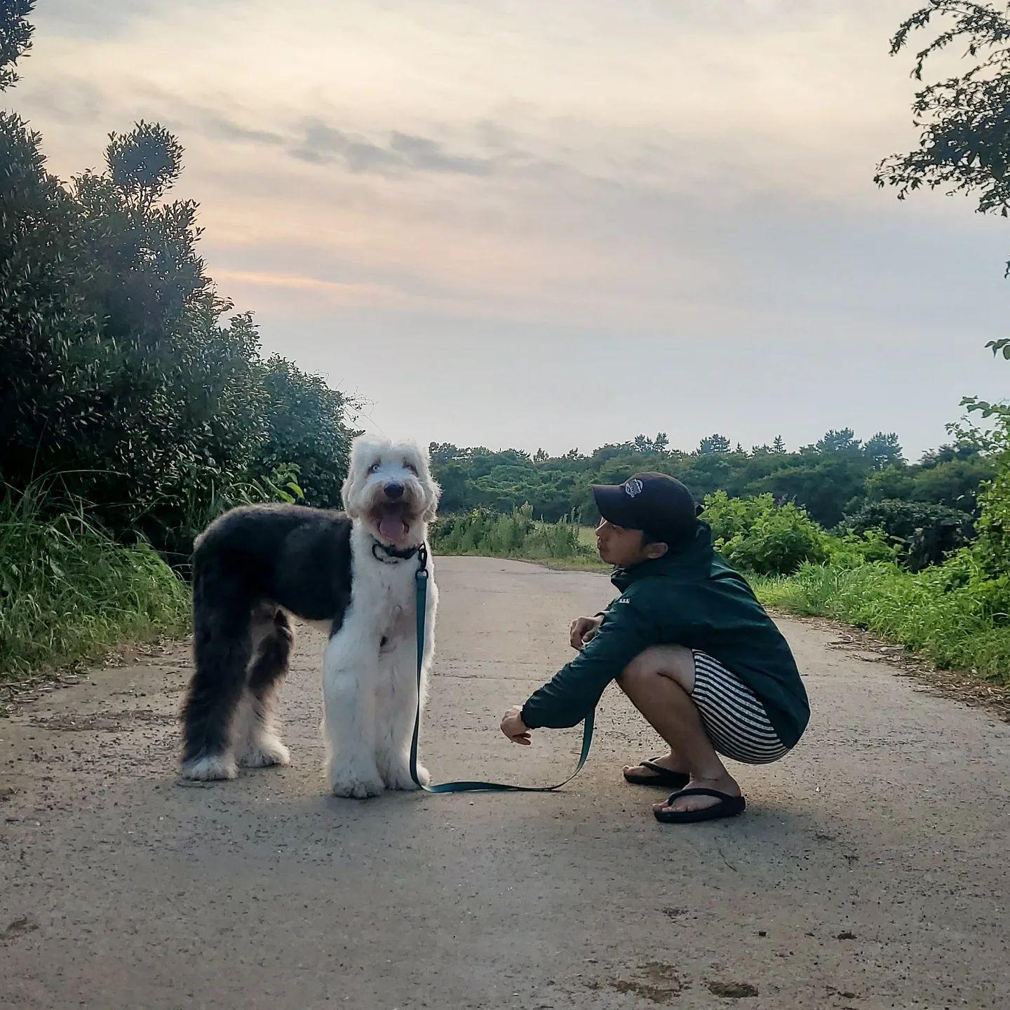 내가 제일 사랑하는 두 남자들🐶🧒🏻
저녁에 노을 보며 #산책 하며 이런저런 이야기 할때가 제일 행복💛
우리 세음이 아픈거 다 나아서 엄마가 너무너무 고마워❤️