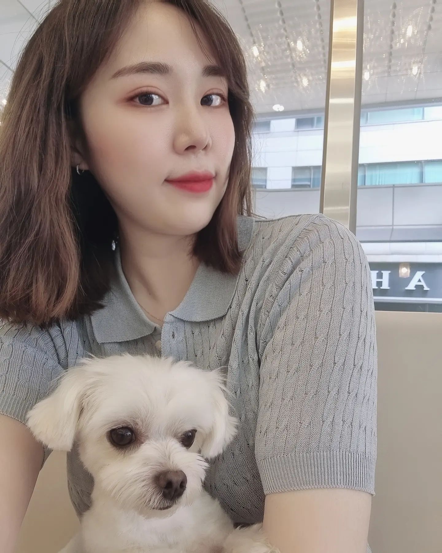 #카페 #카페스타그램 #cafe #coffee #coffe#소통 #소통해요#강아지 쭈쭈🐶🥰❤️랑 데이트#단발
