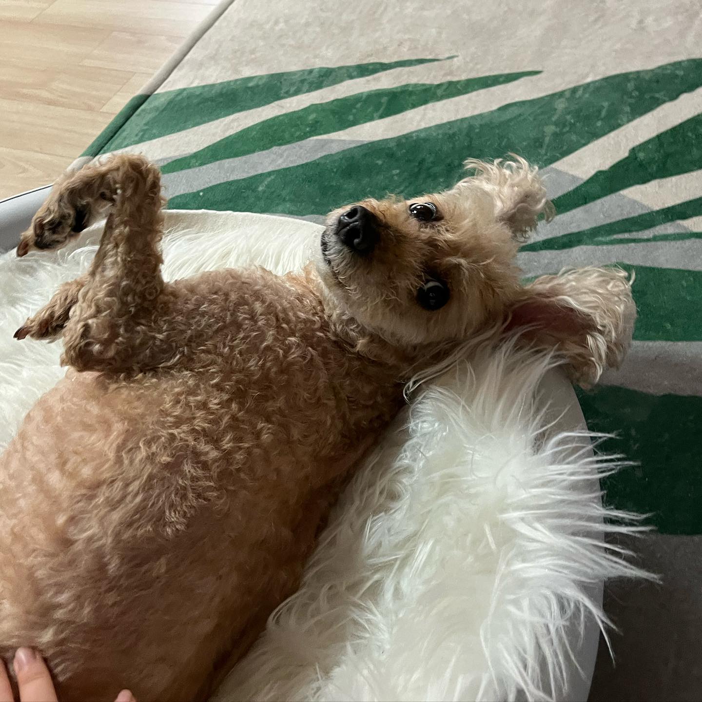 역시 여름에는 잠이 최고죠…!! 어제 올리려다가 자버려서 오늘 열심히 소통 갈게요🔥❤️