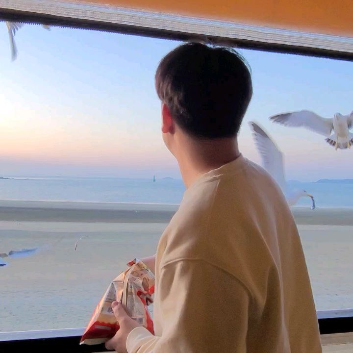박소연 on Instagram: “아직은 갈매기가 무서워요😊 뷰가 다했다고!!! 넘 이쁜 바다앞 숙소 #태안여행 #태안숙소 #애견동반숙소 #뷰스타그램 #바다뷰”
