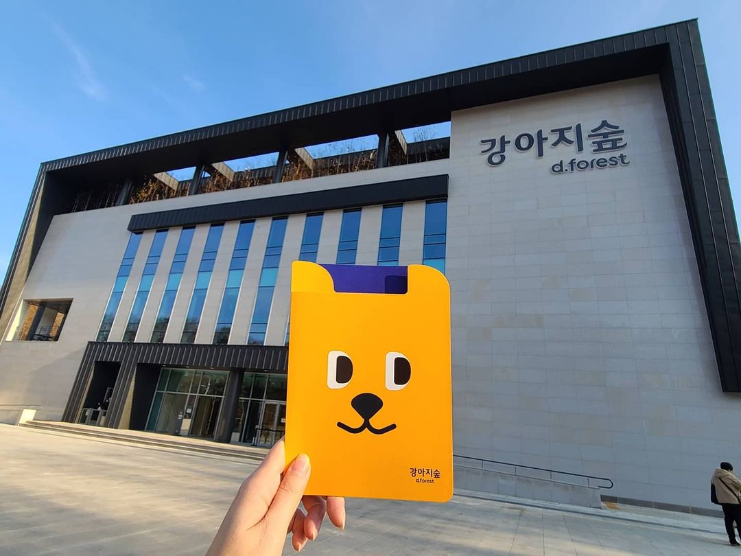 @jhjung_61 on Instagram: “#협찬 국내최대의 반려견 복한문화공간인 강아지숲에 다녀왔어요! 약 30000평이나 되서 박물관, 동산, 연못, 산책로, 카페, 운동장도 있구요, 운동장 같은경우는 10kg기준