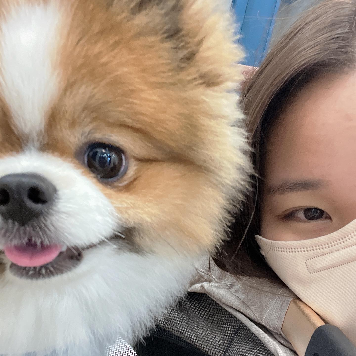 이러다 쿤이 피드 되겠어🥹