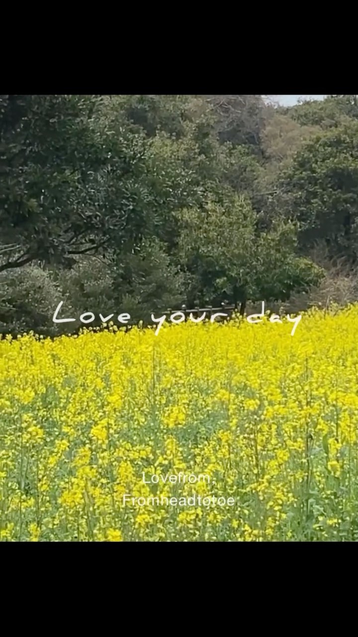 Watch this reel by ann_ie_so on Instagram