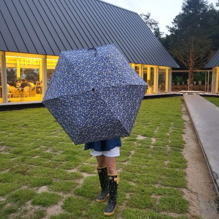 가볍고 귀여운 양우산 크로커다일 우산 겸 양산