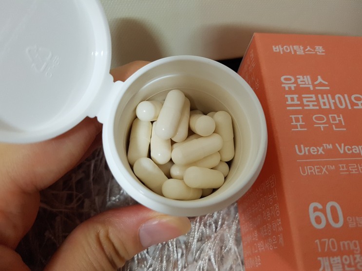 여성유산균추천 바이탈스푼 유렉스 프로바이오틱스유산균추천