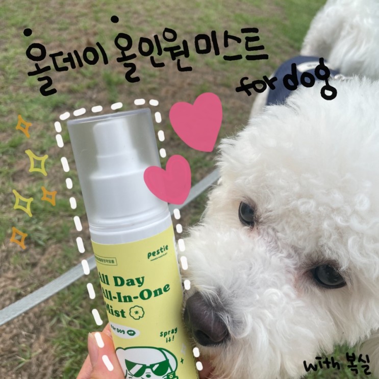 강아지 진드기 퇴치 어렵지 않게 해결 🐶✨ [페스티 올데이 올인원 미스트]
