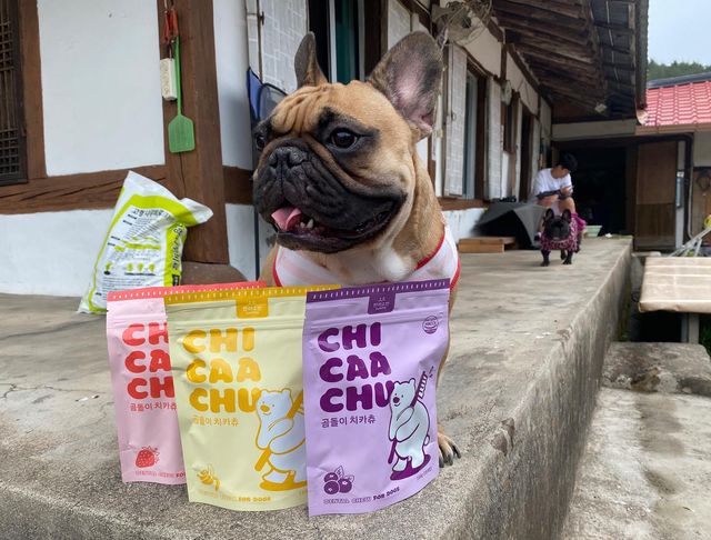미리미 on Instagram: "반려소반에서 나온 신상 덴탈껌 루비오가 이벤트 당첨되서 먹어봣어욤😋 육류대신 과일이들어가서 봉지열면 과일향이 확나요 ㅎㅎ 😳😳 딸기,바나나,블루베리