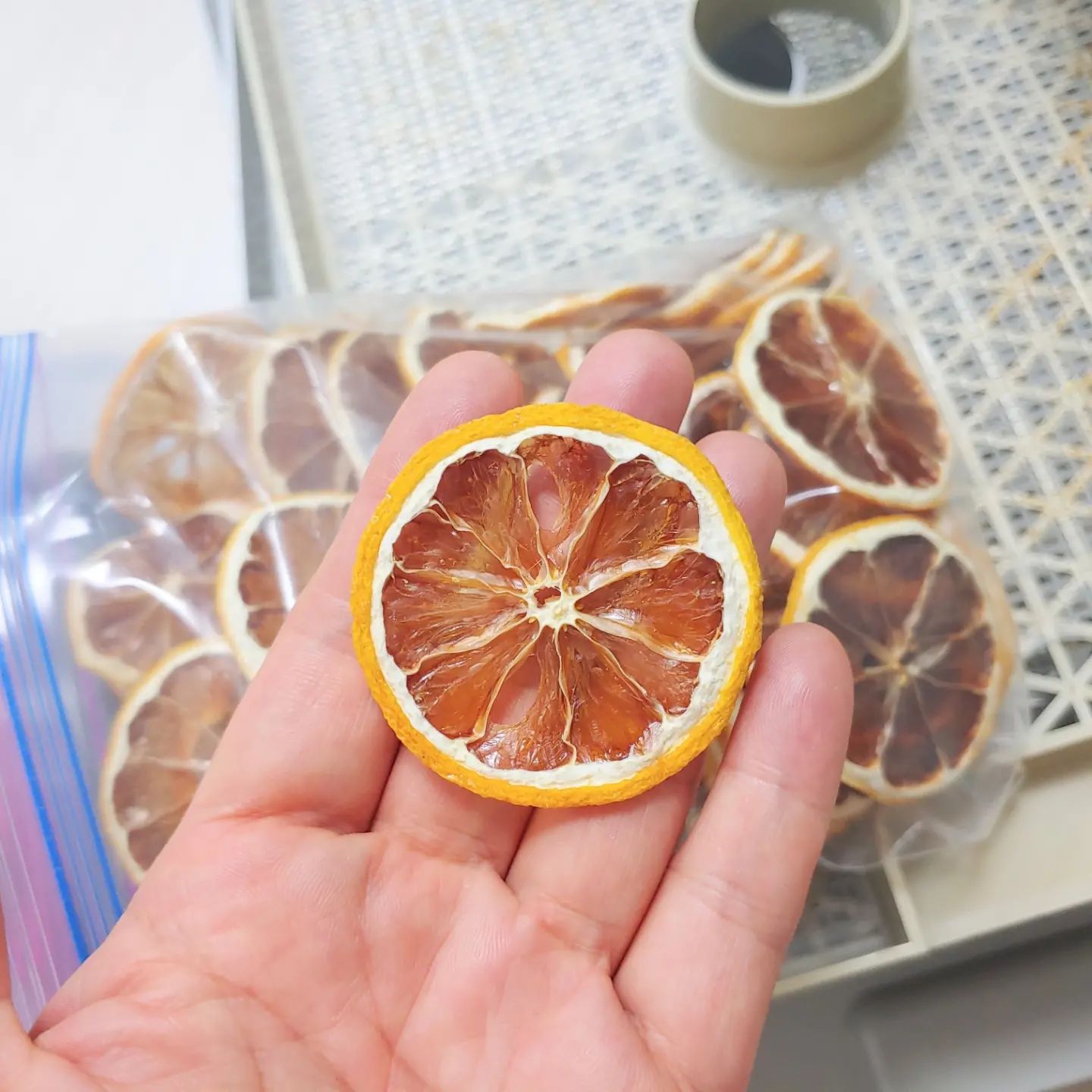 식품건조기로 만든 한달동안 물친구
#식품건조기 #레몬물 #레몬말리기 #레몬말랭이 #레몬차