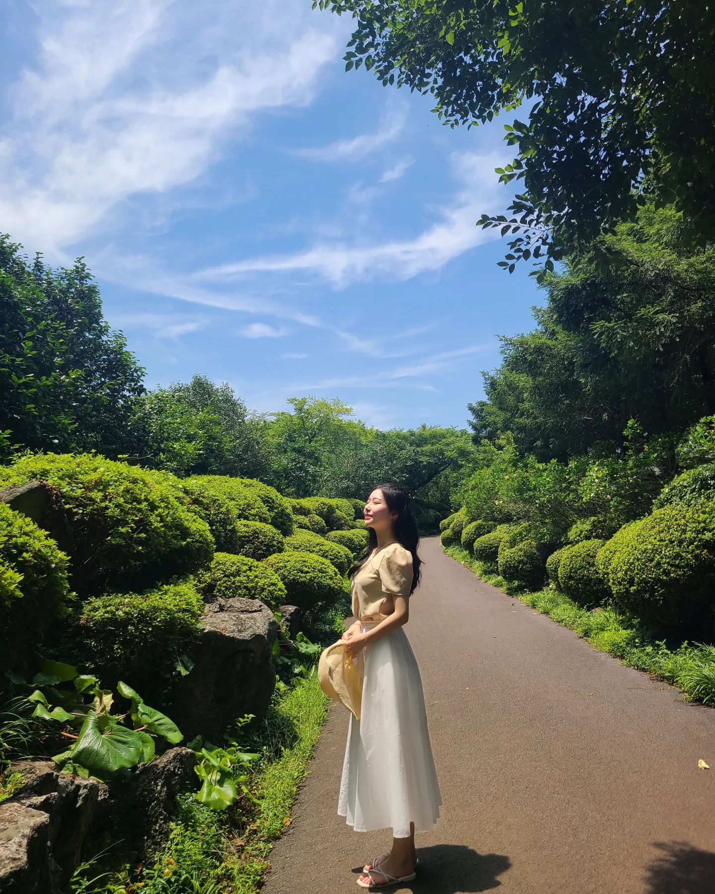 🌞🌳🌞