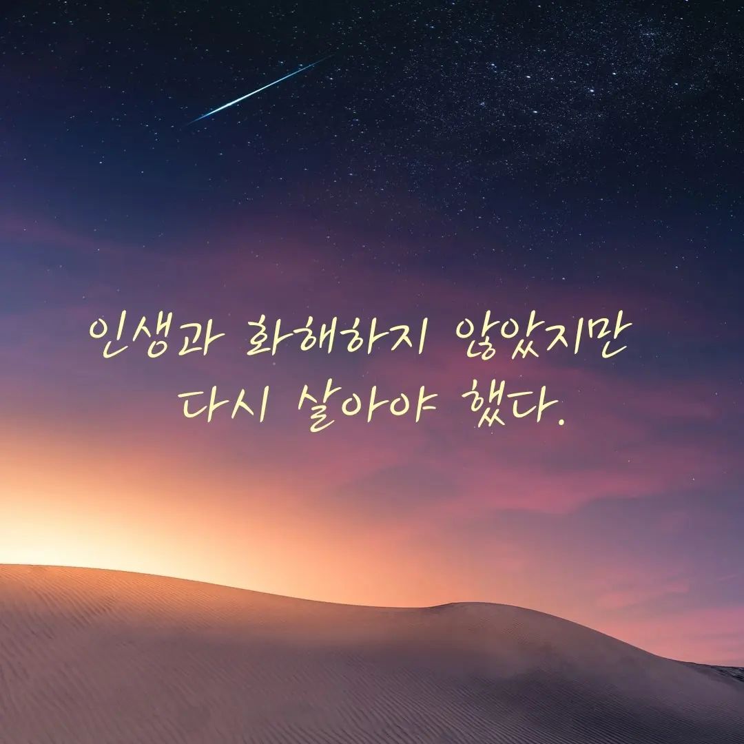 #필사 #독서 #독서기록 #작별하지않는다 #작별하지않는다_한강 #작별에관해서
#유서 #독서스타그램 #북스타그램 

한강 작가님 책은 두 번째(첫 번째는 채식주의자) 문장이 이렇게 좋은 줄 몰랐다. 형광펜 그어둔 문장이 너무 많다🖤 앞으로 찬찬히 필사해 올릴 예정.
책도 굉장히 감명깊은데, 쉬운 책은 아니었다....📚
