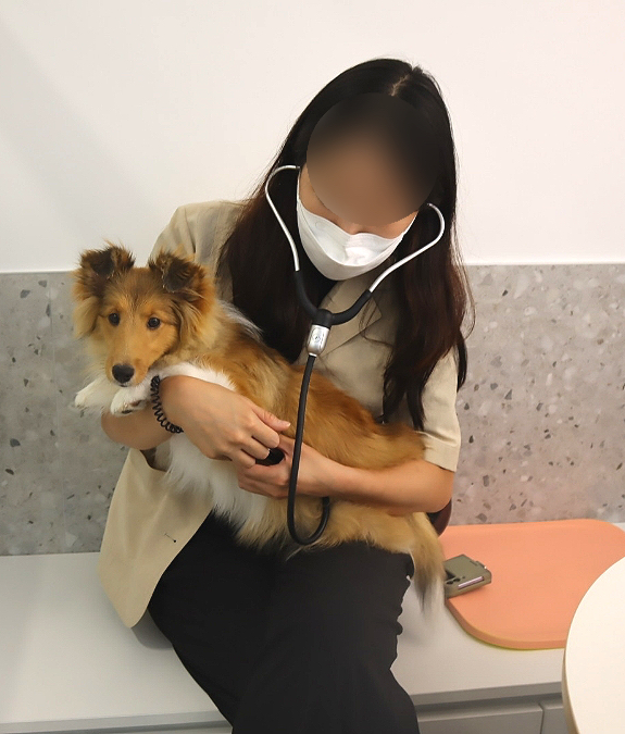 강아지건강검진 가능한 펫트너건강검진센터 검진받으면 펫보험 혜택까지!!