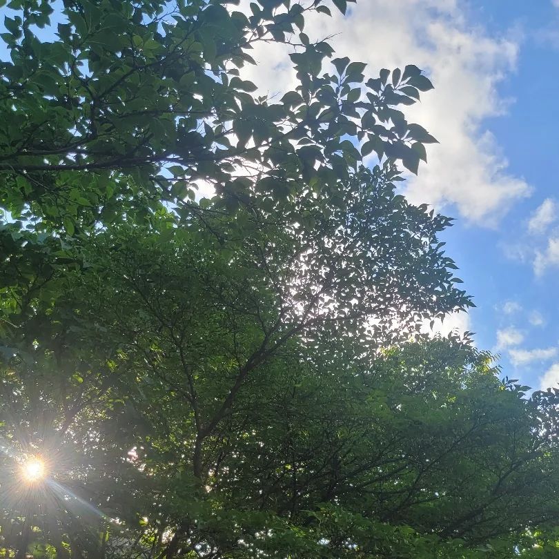 햇살이 좋은 날 
맥주랑 물놀이랑 모든게 힐링되던날💛
맥주가 주인공은 아님🤭