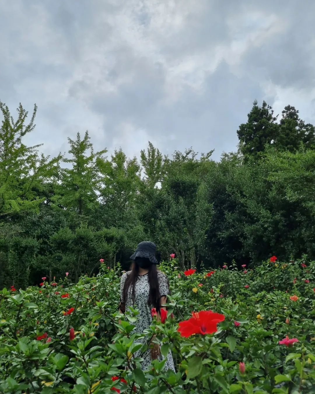 너를 사랑하는 일 동백을 피우는 일🌺 
#사랑하는달 #애월혹은팔월