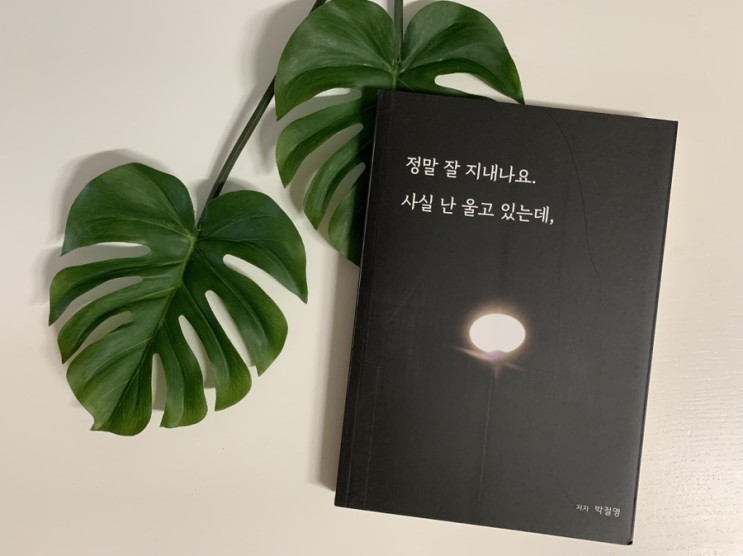 [책 리뷰] 정말잘지내나요사실난울고있는데 | 박철영 | 독립출판