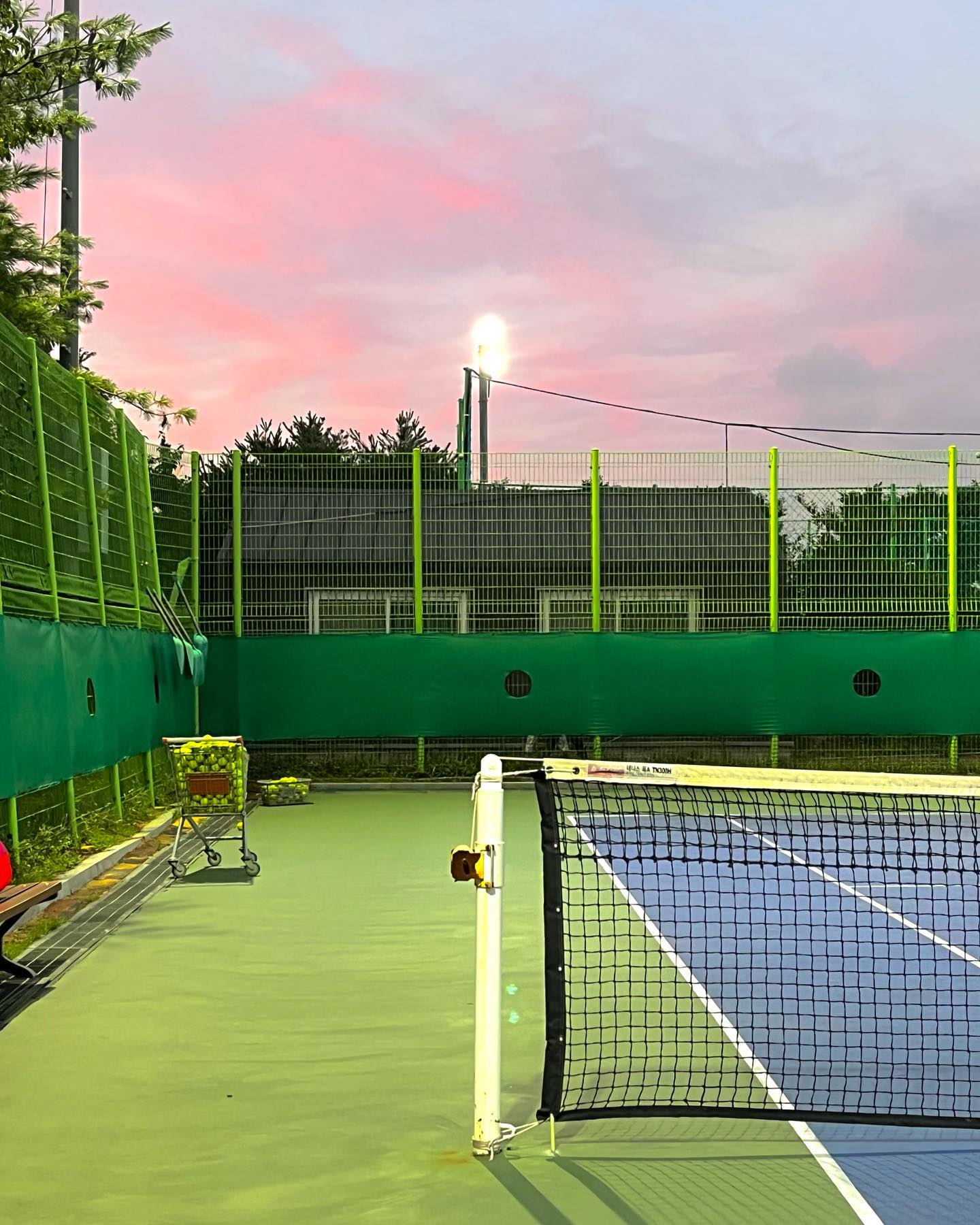 🎾💕