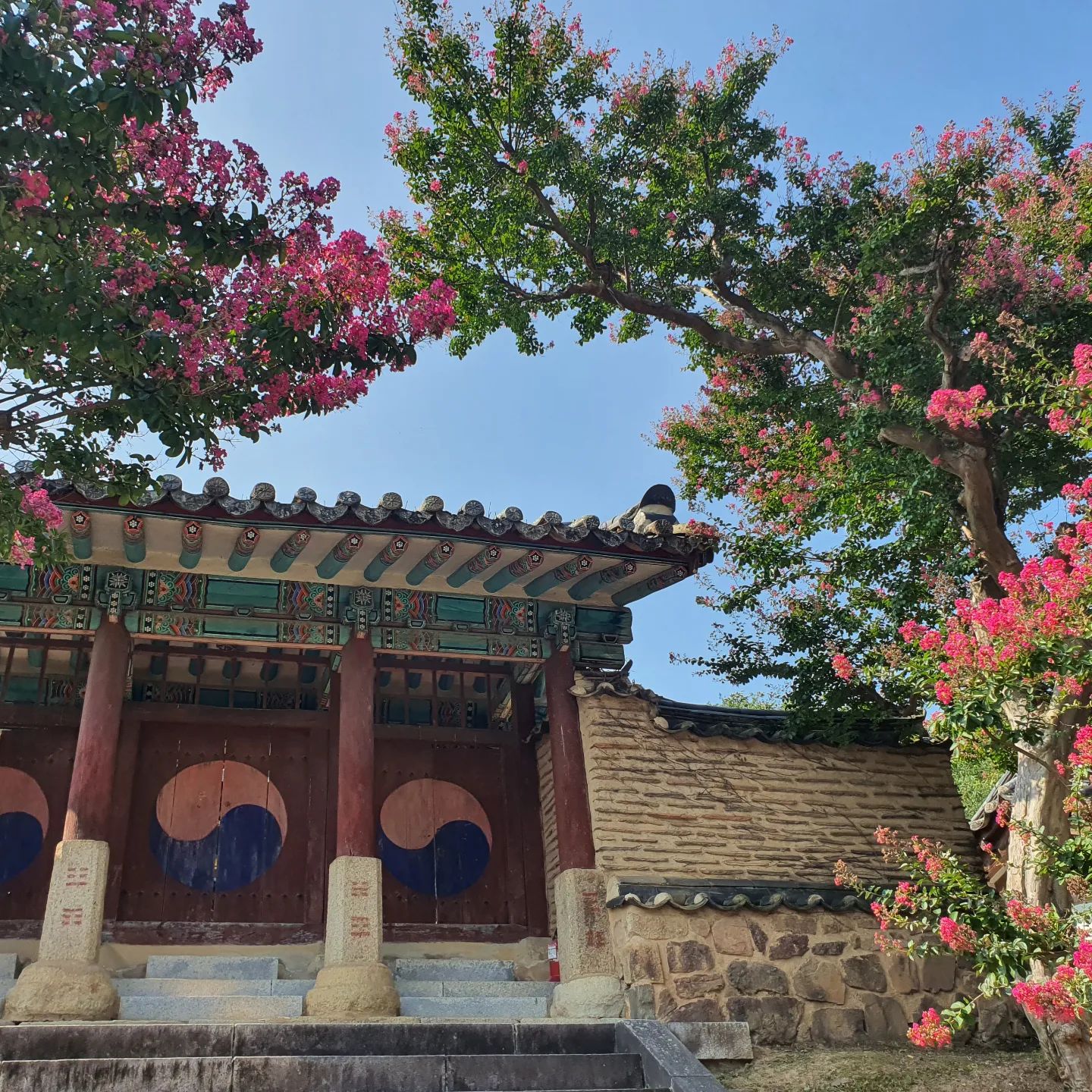 여름의 끝자락에 서서히 가을이 물들고있다.

#새벽감성 #감성글 #글쟁이 #글쓰는감성쟁이 #책 #일상 #소통 #글귀  #wishyourhappiness #일상기록 #일상의행복 #당신을응원해 #소중한사람 #감성충전 #위로 #인간관계 #상처 #토닥토닥 #아름다운밤 #네생각 #사진 #photography #안동 #병산서원 #배롱나무