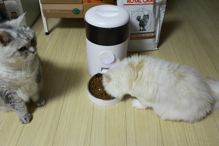 고양이 자동급식기 추천 VANBOT 반려동물 자동급식기 WI-FI 연동 스마트 앱 핸드폰 원격제어