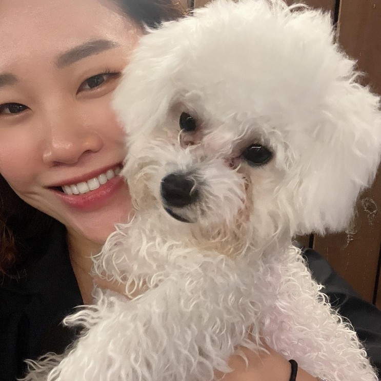 [애견용품] 댕댕이 눈물이 고민이라면, 금쪽같은 댕냥이