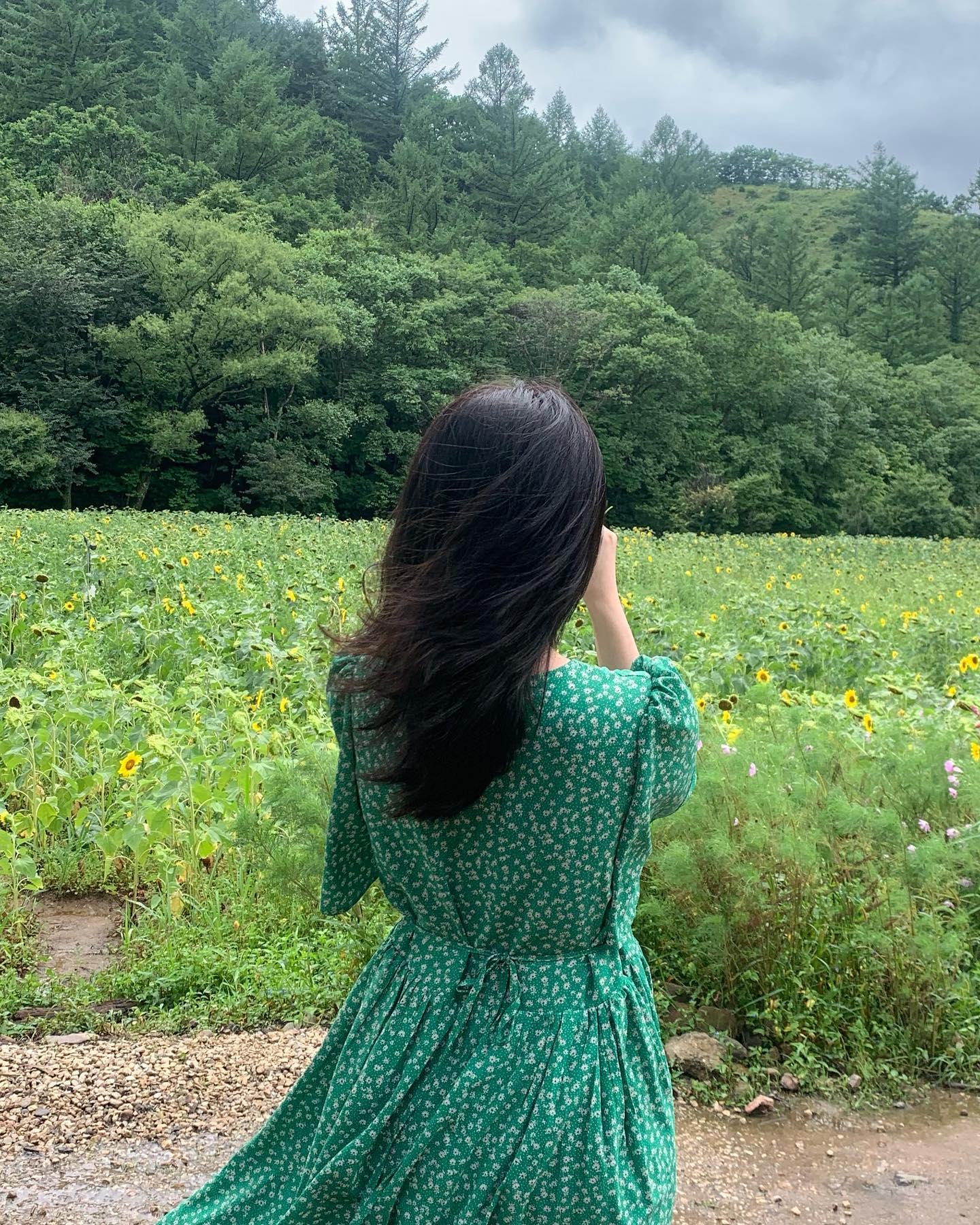 가을 같았던 강원도