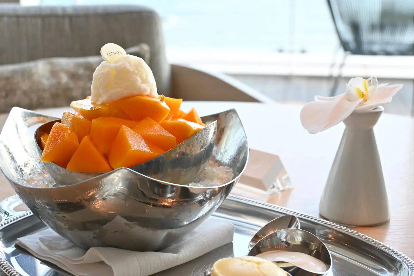🍨 물멍때리면서 망고빙수 후루룩 🏖.
.
.
.
.
#망고빙수 #시그니엘 #시그니엘부산