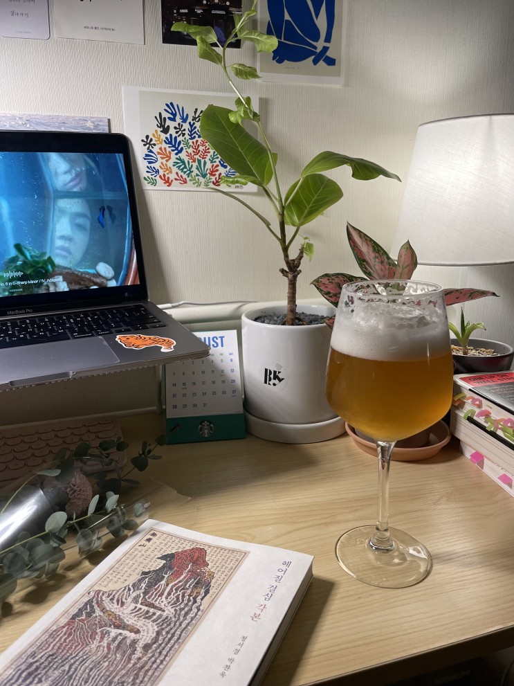 혼자만의 시간을 소중하게 만들어주는 논알콜맥주 제주누보