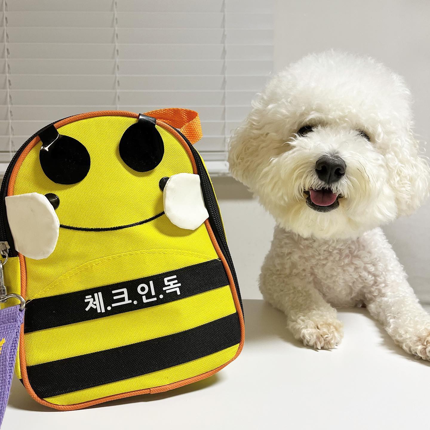 봉봉이의 왓츠 인 마이 백 🐶😋

자세한 내용은 유봉랜드블로그에서 확인해주세용 🥰