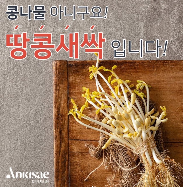 '새싹이든' 간편 식사대용으로 든든한 100%국내산 순식물성음료