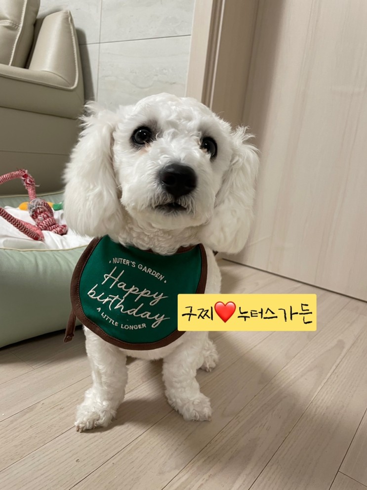[누터스가든]  중성화 케어 브랜드 누터스가든 "누터스자임독스"