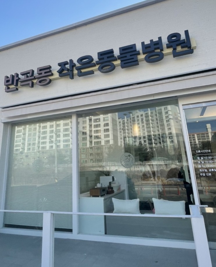 { 원주동물병원}  반곡동 작은동물병원