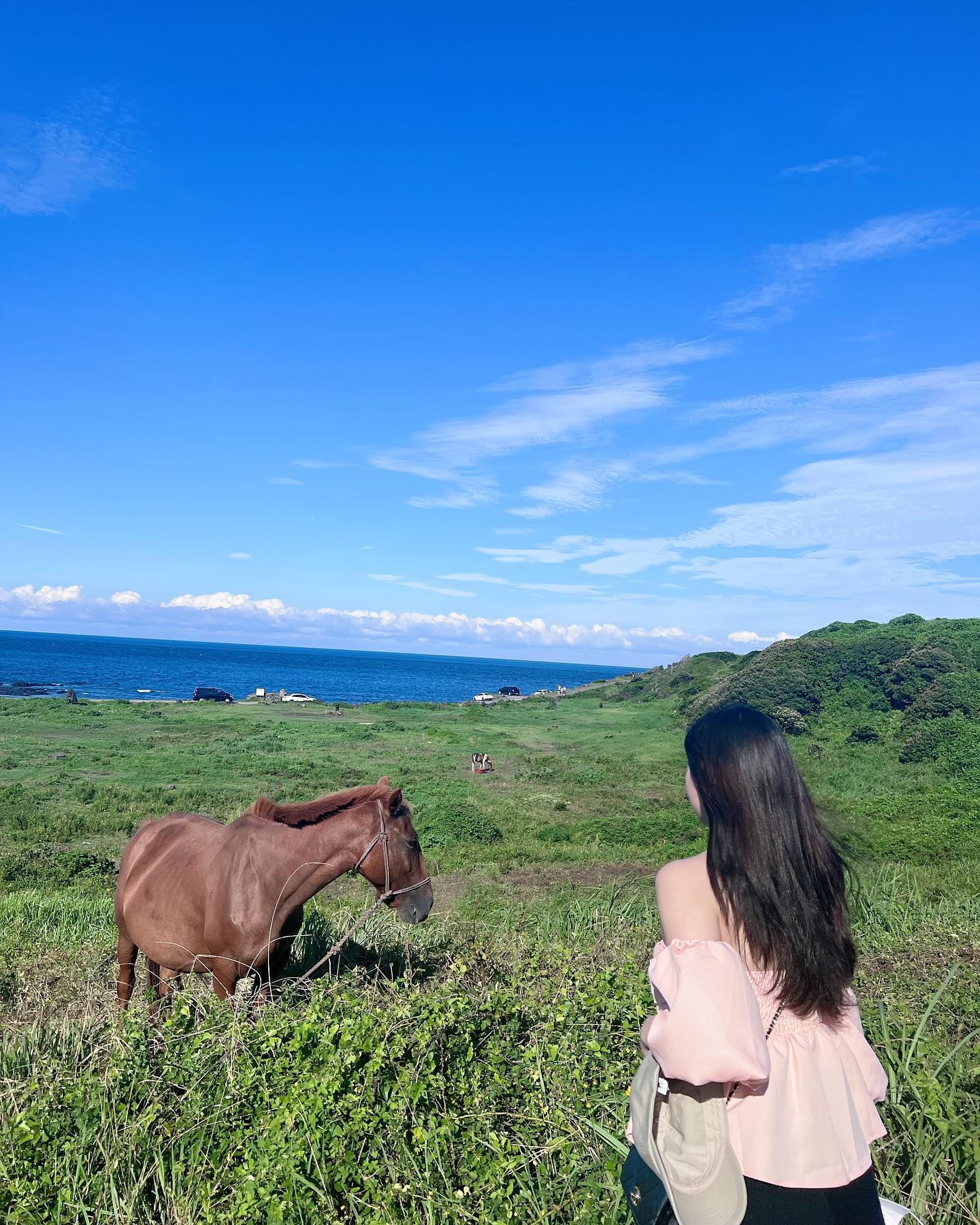 🐎🐎🐎🐎🐎🐎 음청 커