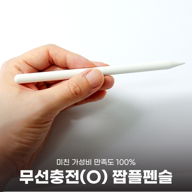 애플펜슬 2세대 호환 및 무선충전 가능한 짭플펜슬 리얼리뷰