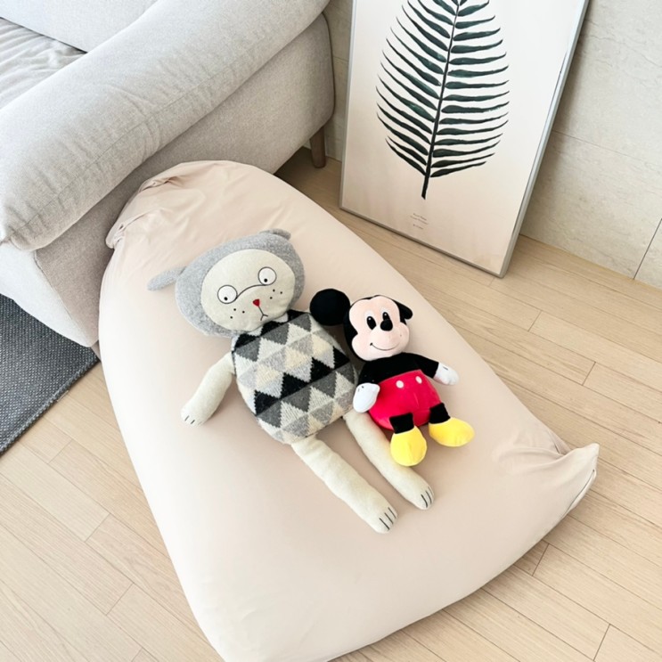 생활특권 쫀득 삼각빈백 덕분에 삶의 질이 높아졌어요